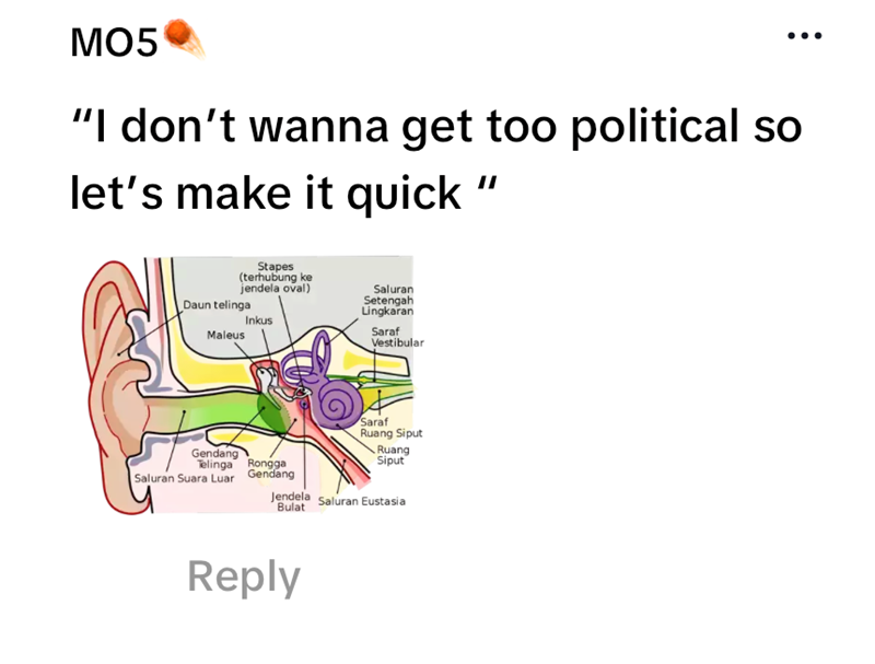 MO5 "I don't wanna get too political so let's make it quick" Stapes (terhubung ke jendela oval) Daun telinga Inkus Maleus Saluran Setengah Lingkaran Saraf Vestibular Gendang Telinga Rongga Saluran Suara Luar Gendang Saraf Ruang Siput Ruang Siput Jendela Saluran Eustasia Bulat Reply