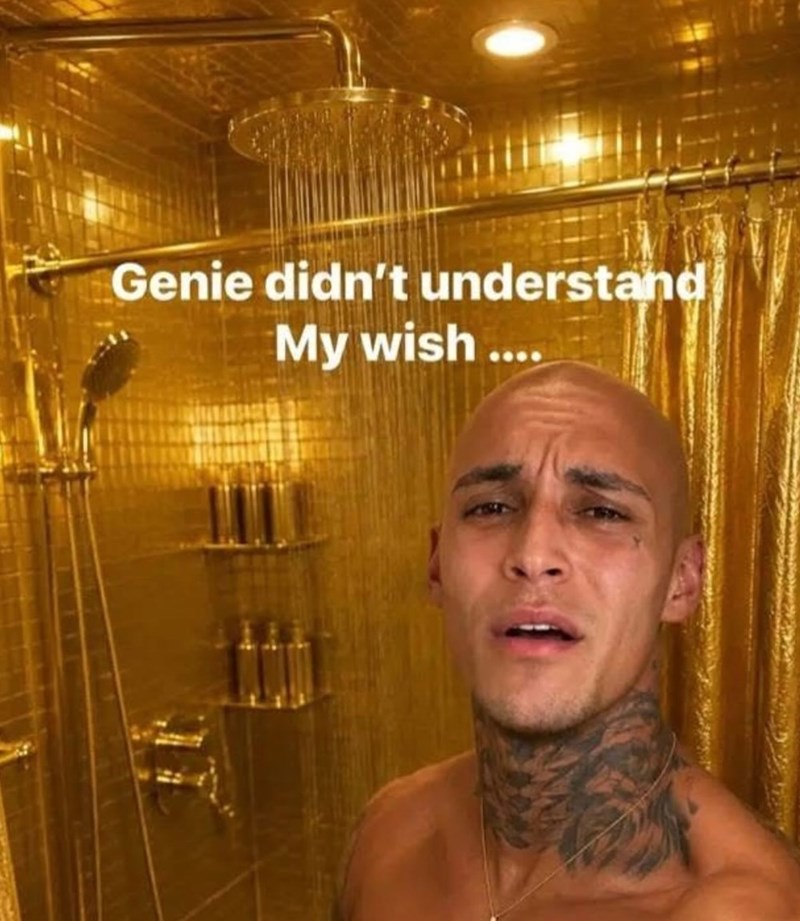Genie didn't understand My wish....