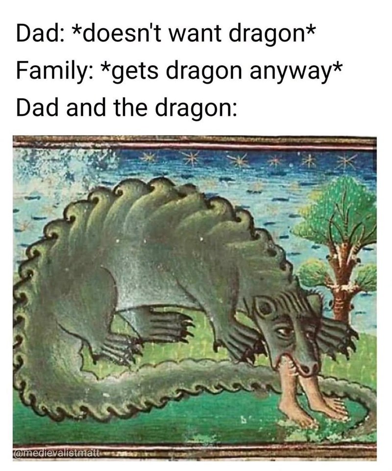 Dad: *doesn't want dragon* Family: *gets dragon anyway* Dad and the dragon: @medievalistmatt