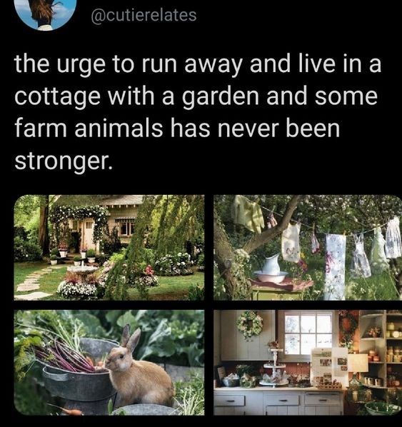 @cutierelates the urge to run away and live in a cottage with a garden and some farm animals has never been stronger.