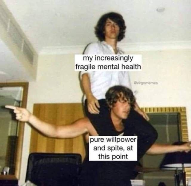 my increasingly fragile mental health @virgomemes pure willpower and spite, at this point