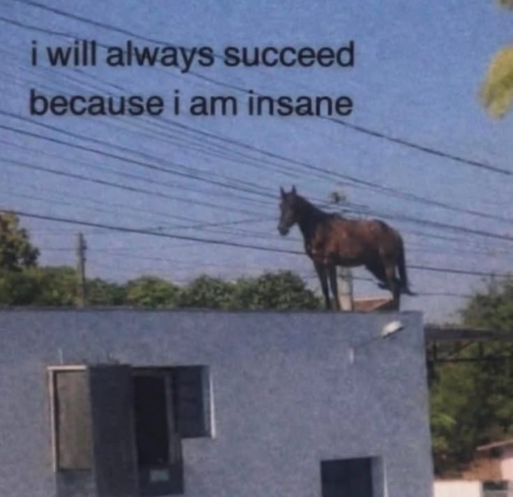 i will always succeed because i am insane