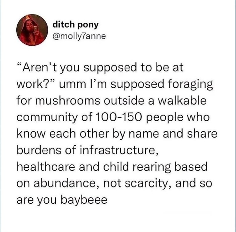 ditch pony @molly7anne "Aren't you supposed to be at work?" umm I'm supposed foraging for mushrooms outside a walkable community of 100-150 people who know each other by name and share burdens of infrastructure, healthcare and child rearing based on abundance, not scarcity, and so are you baybeee