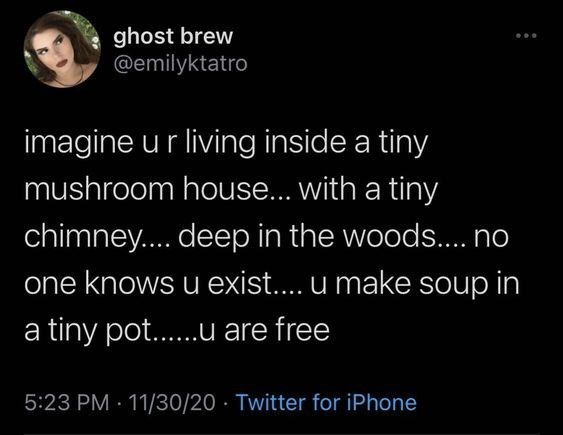 ghost brew @emilyktatro imagine ur living inside a tiny mushroom house... with a tiny chimney.... deep in the woods.... no one knows u exist.... u make soup in a tiny pot......u are free 5:23 PM 11/30/20 Twitter for iPhone