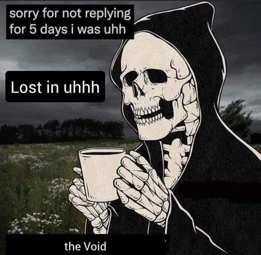 sorry for not replying for 5 days i was uhh Lost in uhhh the Void