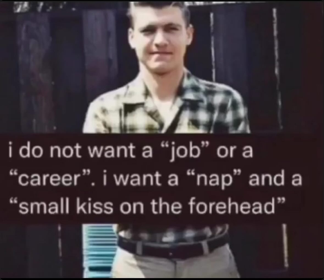 i do not want a "job" or a "career". i want a "nap" and a "small kiss on the forehead"