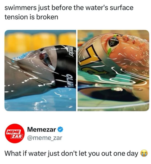 swimmers just before the water's surface tension is broken reedo OLAR MEME Memezar ZAR @meme_zar What if water just don't let you out one day