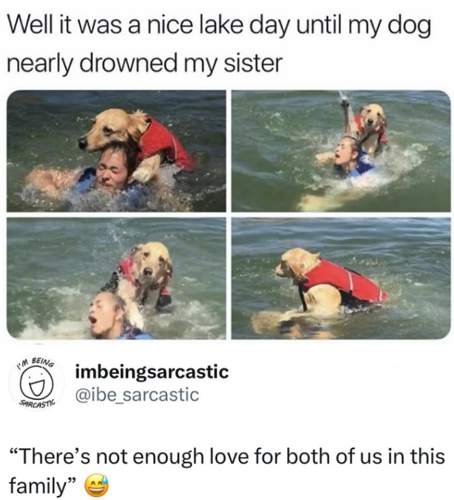 Well it was a nice lake day until my dog nearly drowned my sister I'M BEING SARCASTIC imbeingsarcastic @ibe_sarcastic "There's not enough love for both of us in this family"