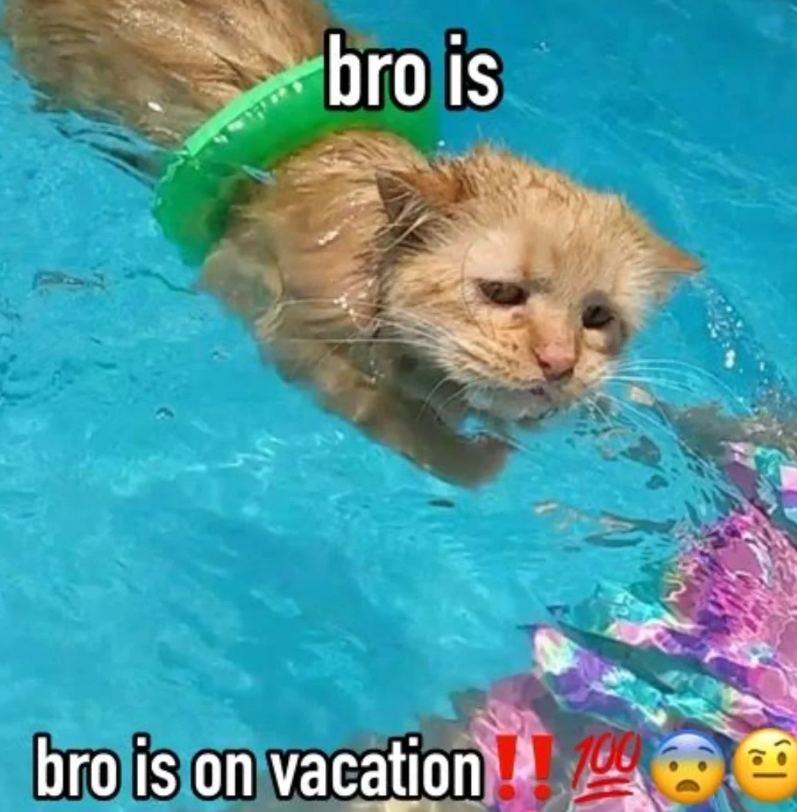 bro is bro is on vacation!