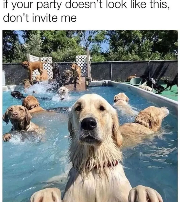 if your party doesn't look like this, don't invite me hedda