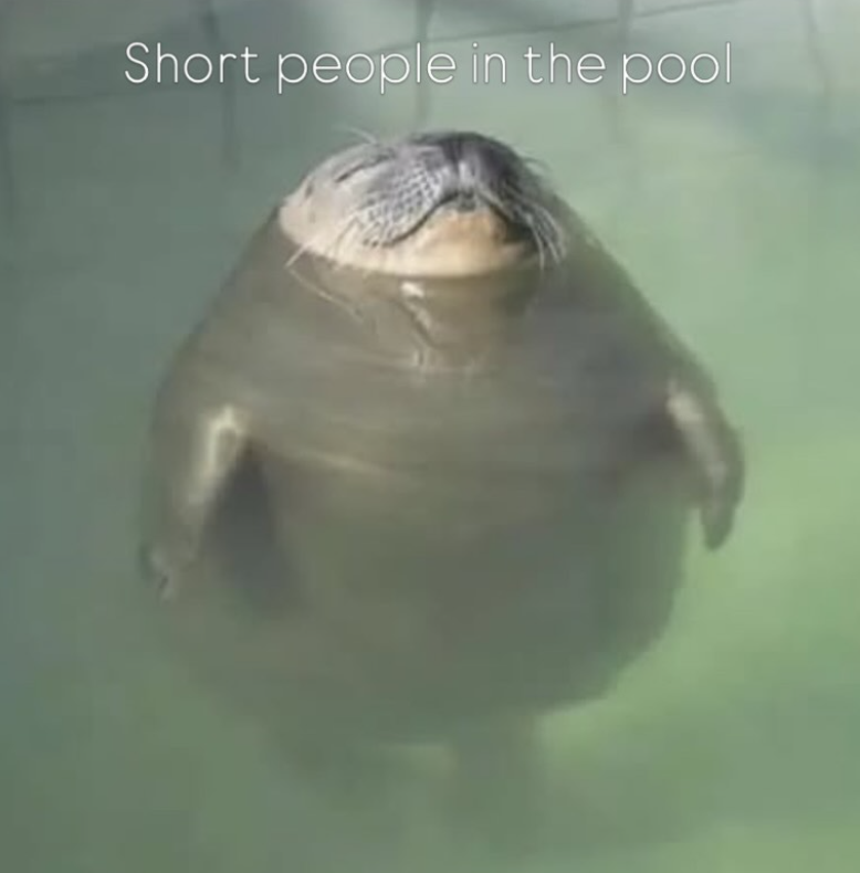 Short people in the pool