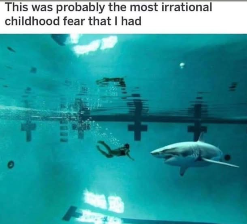 This was probably the most irrational childhood fear that I had