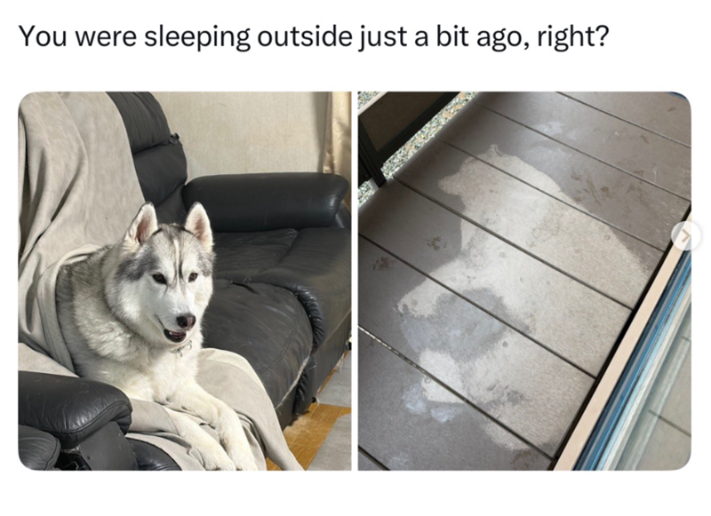 You were sleeping outside just a bit ago, right?