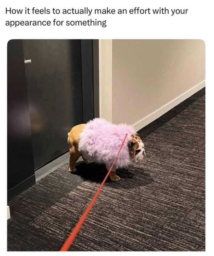 How it feels to actually make an effort with your appearance for something