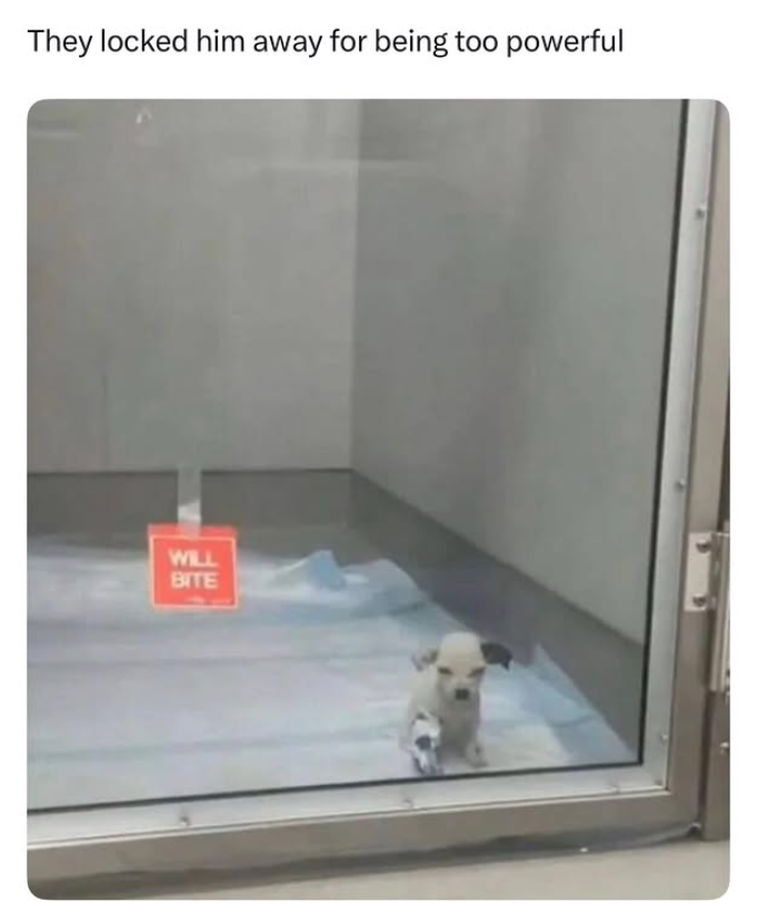 They locked him away for being too powerful WILL BITE