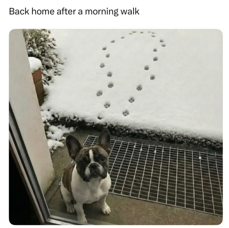 Back home after a morning walk