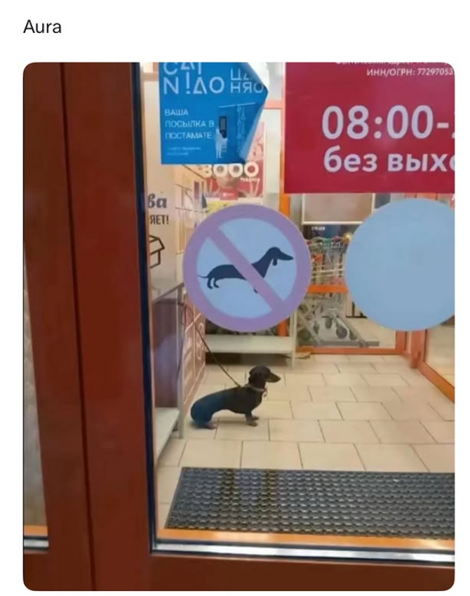 Aura Ва ЯЕТ! CAT Ц NAO Нас BALLIA ПОСЫЛКА В ПОСТАМАТЕ 8000 ИНН/ОГРН: 77297053 08:00- без вых
