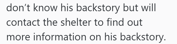 don't know his backstory but will contact the shelter to find out more information on his backstory.