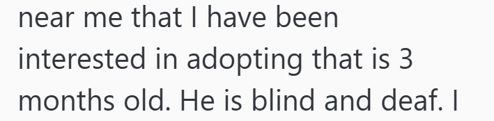 near me that I have been interested in adopting that is 3 months old. He is blind and deaf. I