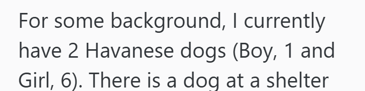 For some background, I currently have 2 Havanese dogs (Boy, 1 and Girl, 6). There is a dog at a shelter