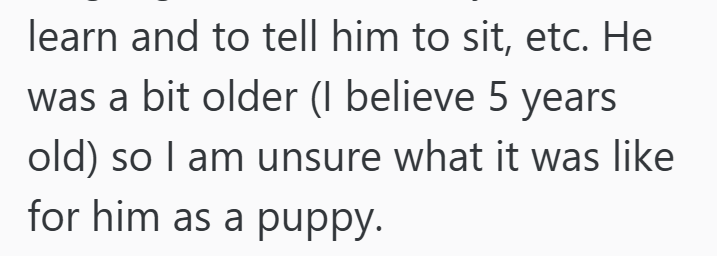 learn and to tell him to sit, etc. He was a bit older (I believe 5 years old) so I am unsure what it was like for him as a puppy.