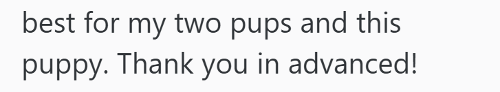 best for my two pups and this puppy. Thank you in advanced!