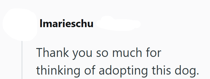 Imarieschu Thank you so much for thinking of adopting this dog.