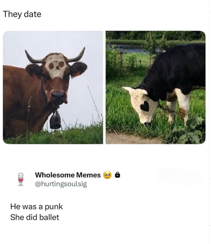 They date Wholesome Memes @hurtingsoulsig He was a punk She did ballet