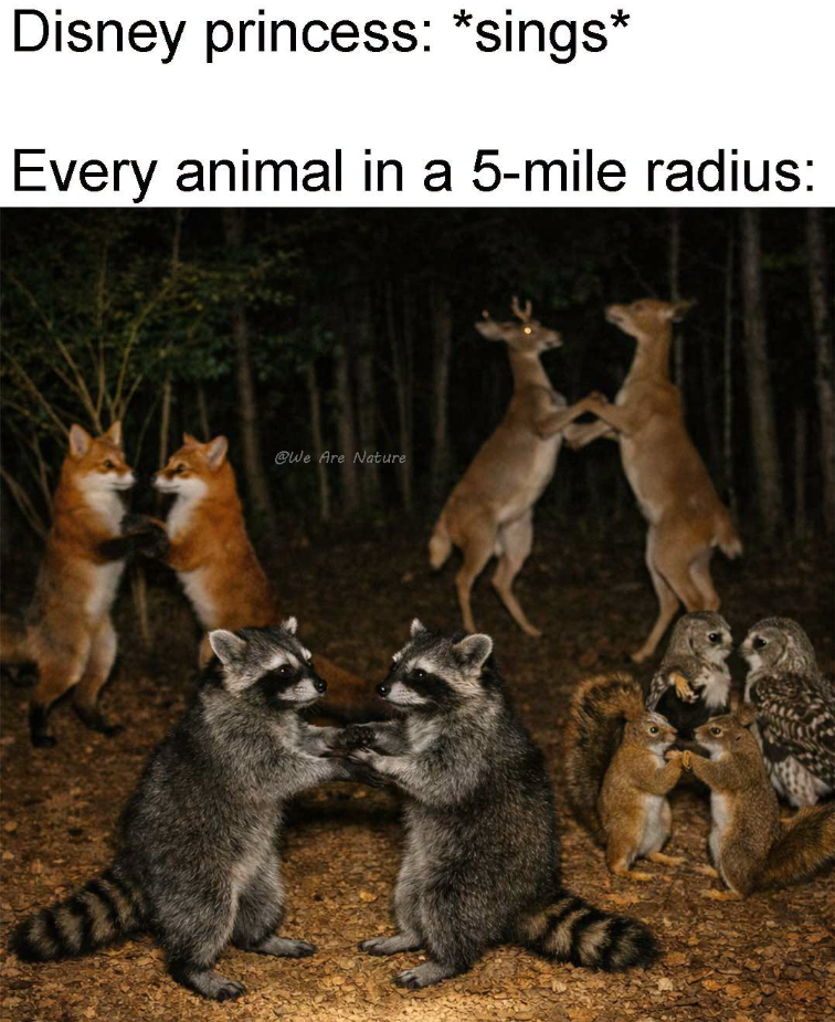 Disney princess: *sings* Every animal in a 5-mile radius: @We Are Nature