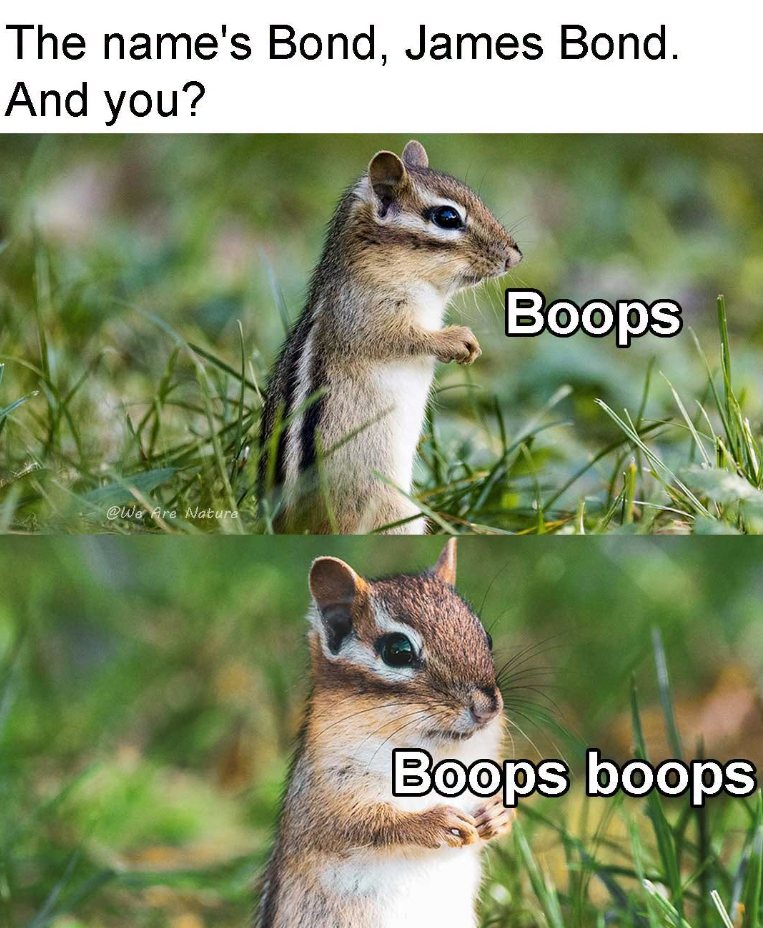 The name's Bond, James Bond. And you? @We Are Nature Boops Boops boops
