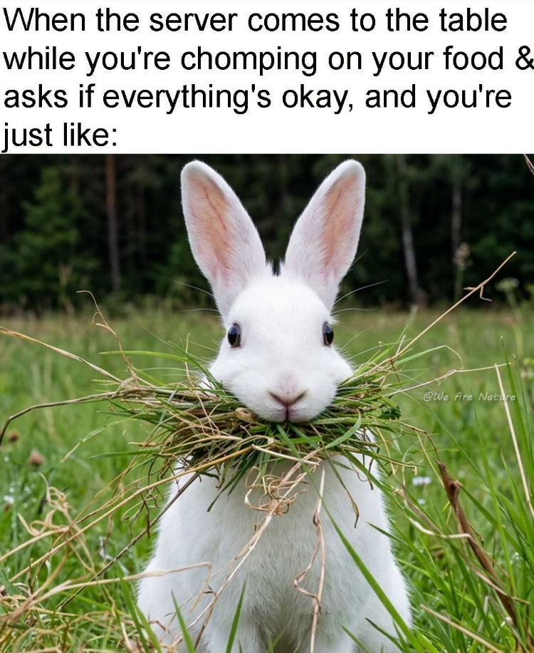 When the server comes to the table while you're chomping on your food & asks if everything's okay, and you're just like: @We Are Nature