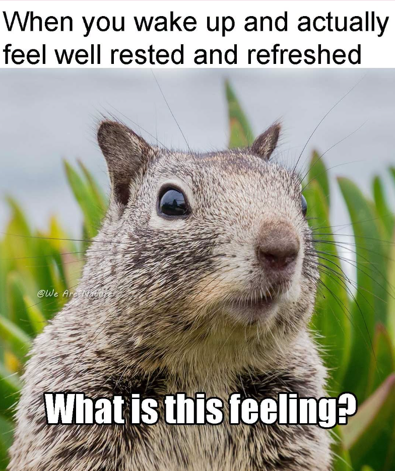 When you wake up and actually feel well rested and refreshed @We Are Nature What is this feeling?