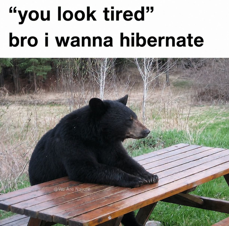"you look tired" bro i wanna hibernate @We Are Nature