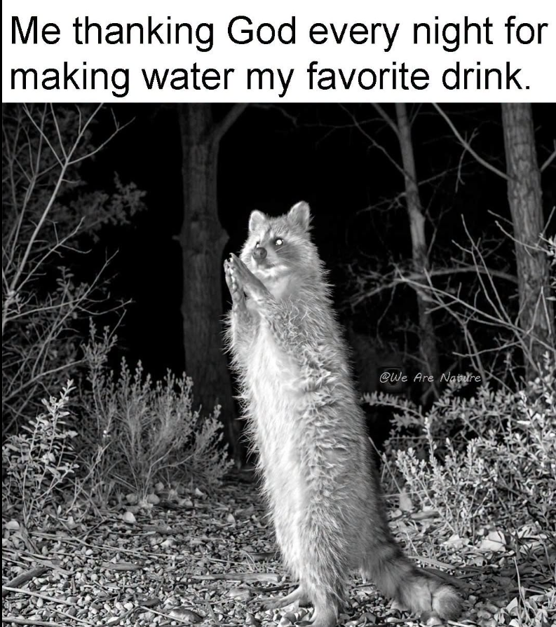 Me thanking God every night for making water my favorite drink. @We Are Nature