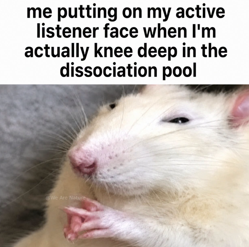 me putting on my active listener face when I'm actually knee deep in the dissociation pool @We Are Nature