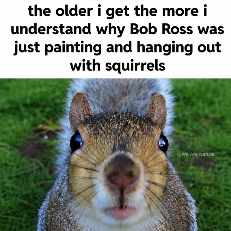 the older i get the more i understand why Bob Ross was just painting and hanging out with squirrels @We Are Nature