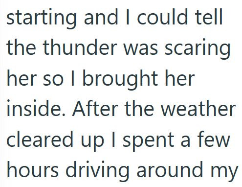 starting and I could tell the thunder was scaring her so I brought her inside. After the weather cleared up I spent a few hours driving around my
