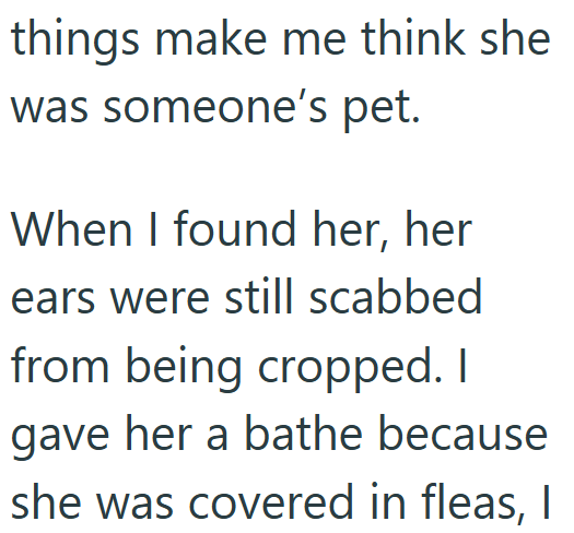 things make me think she was someone's pet. When I found her, her ears were still scabbed from being cropped. I gave her a bathe because she was covered in fleas, I