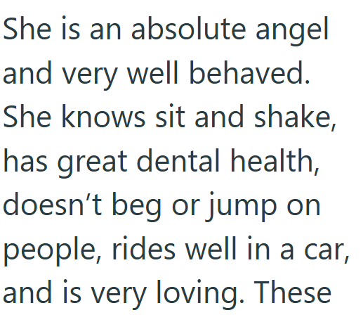 She is an absolute angel and very well behaved. She knows sit and shake, has great dental health, doesn't beg or jump on people, rides well in a car, and is very loving. These