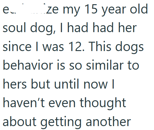 e. Öze my 15 year old soul dog, I had had her since I was 12. This dogs behavior is so similar to hers but until now I haven't even thought about getting another