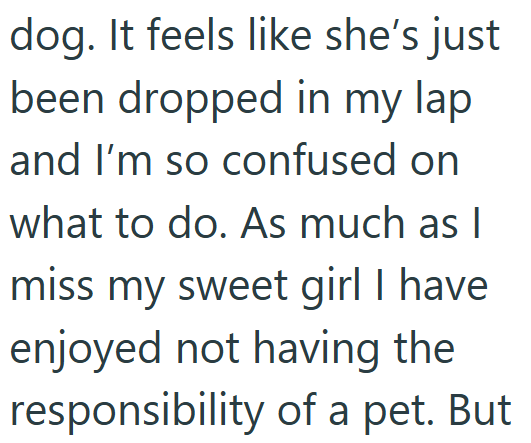 dog. It feels like she's just been dropped in my lap and I'm so confused on what to do. As much as I miss my sweet girl I have enjoyed not having the responsibility of a pet. But