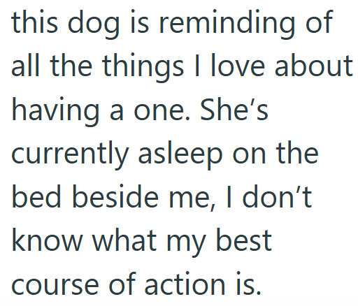 this dog is reminding of all the things I love about having a one. She's currently asleep on the bed beside me, I don't know what my best course of action is.