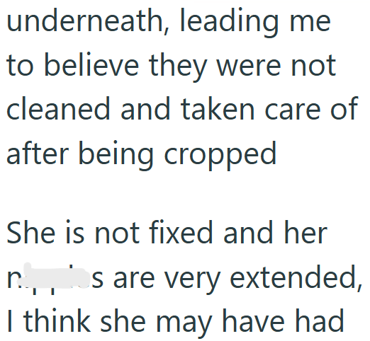 underneath, leading me to believe they were not cleaned and taken care of after being cropped She is not fixed and her n.,,les are very extended, I think she may have had