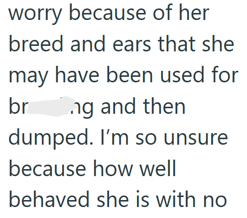 worry because of her breed and ears that she may have been used for br ng and then dumped. I'm so unsure because how well behaved she is with no