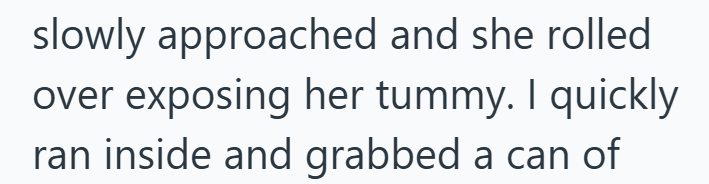 slowly approached and she rolled over exposing her tummy. I quickly ran inside and grabbed a can of