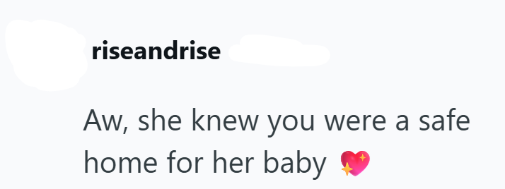 riseandrise Aw, she knew you were a safe home for her baby