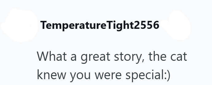 TemperatureTight2556 What a great story, the cat knew you were special:)