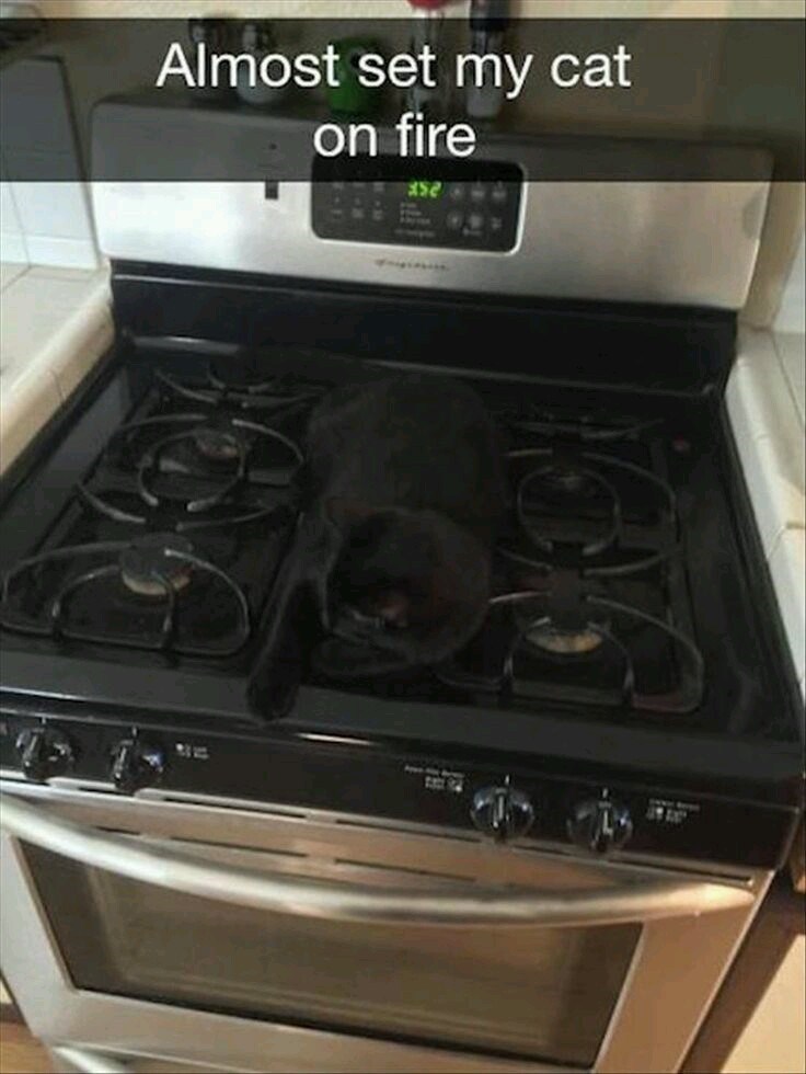 Almost set my cat on fire