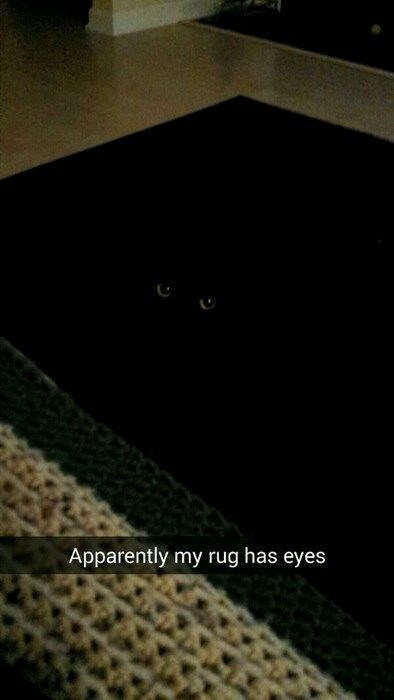 9 Apparently my rug has eyes