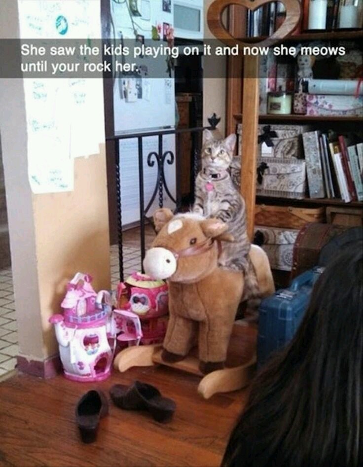She saw the kids playing on it and now she meows until your rock her. 3